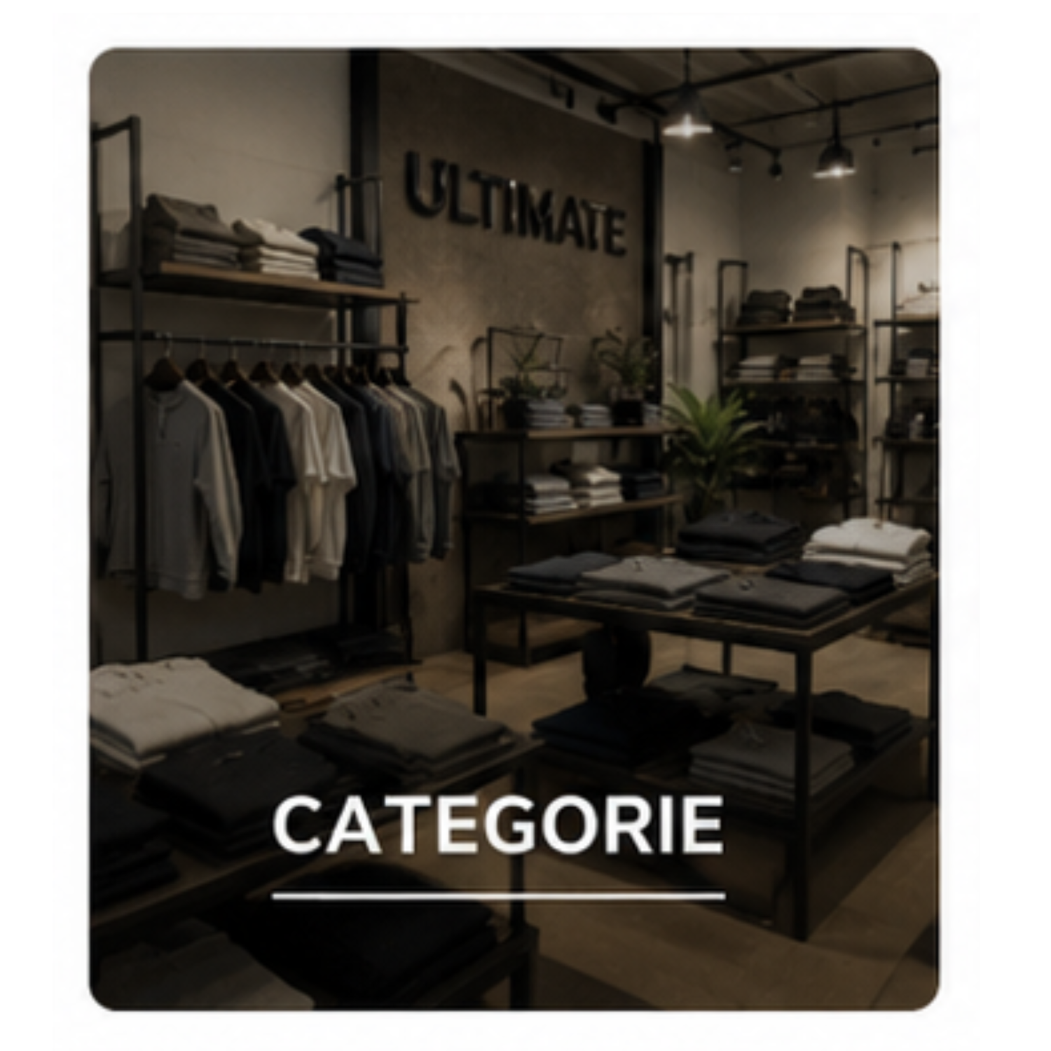 CATEGORIE